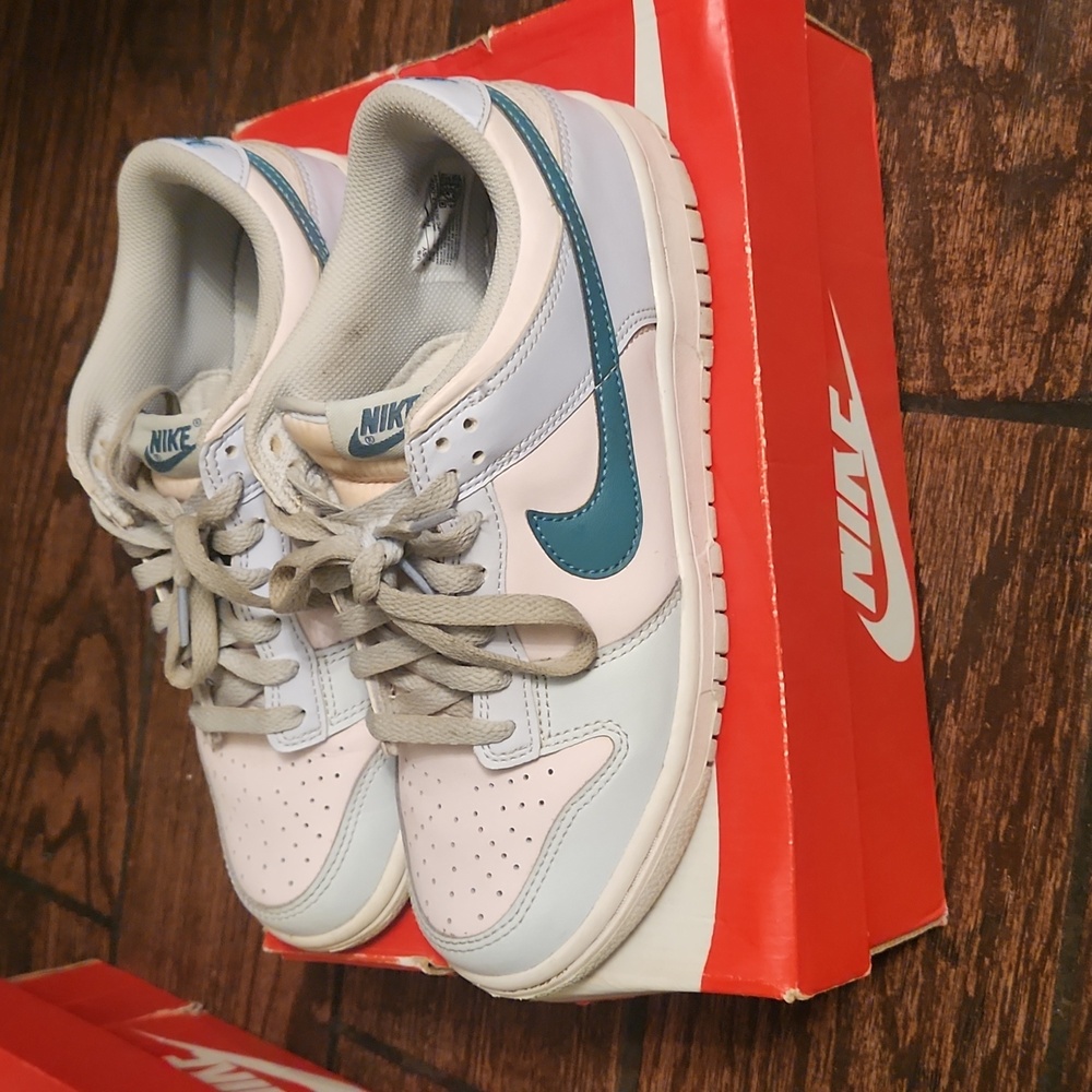 GS nike dunks